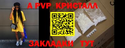 дмт Нальчик