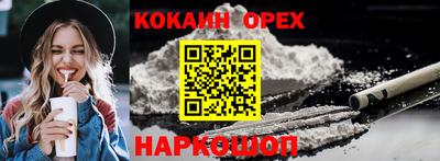 спиды Новодвинск