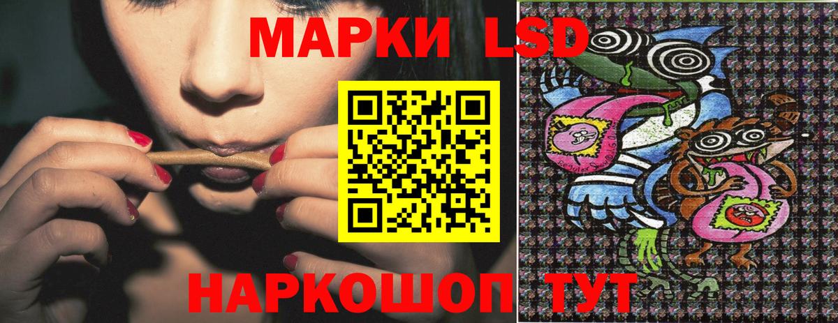 Марки N-bome 1500мкг  Вход с VPN  как найти закладки  Славгород  Марки N-bome 1500мкг 