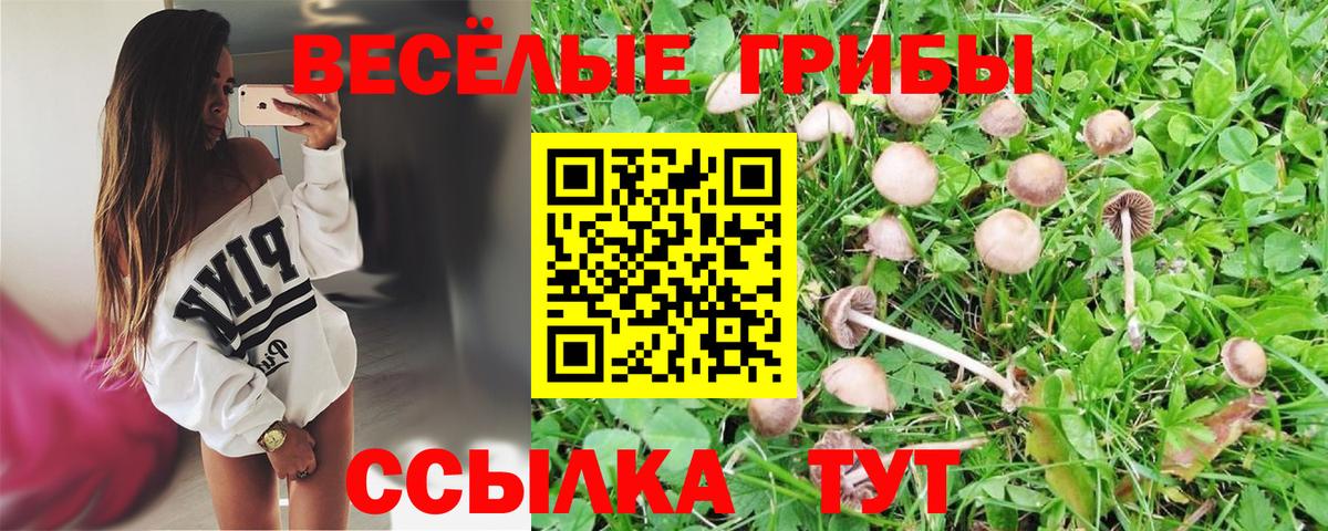 Галлюциногенные грибы прущие грибы  купить наркоту  Славгород  Псилоцибиновые грибы мухоморы  Вход с VPN 