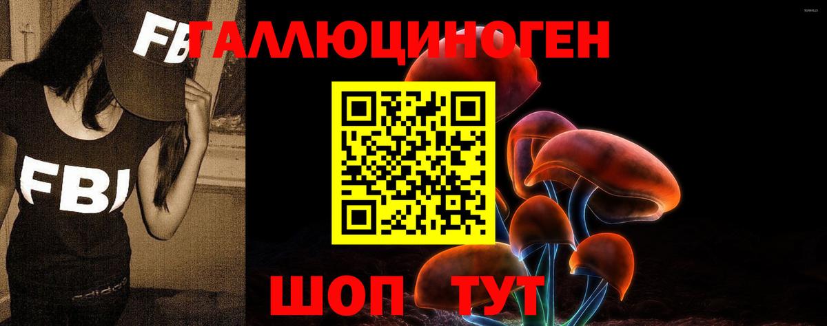 Героин Славгород