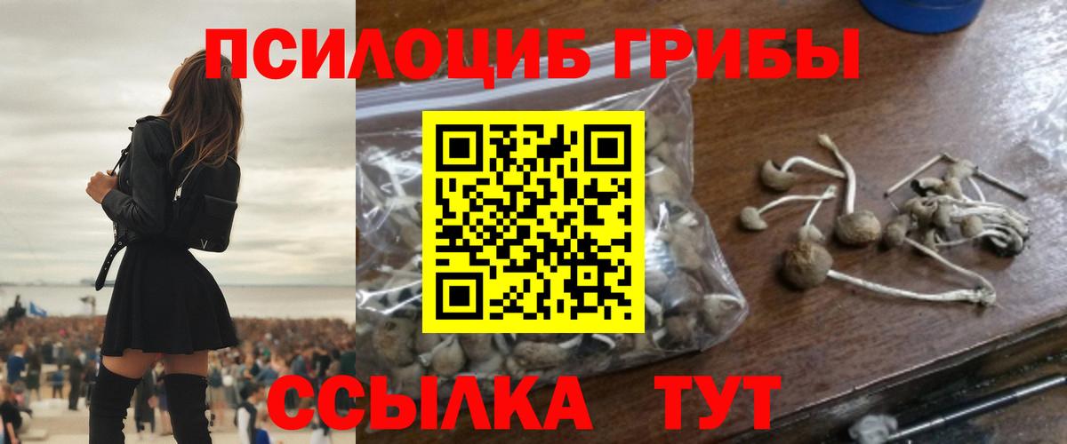 Галлюциногенные грибы GOLDEN TEACHER Славгород